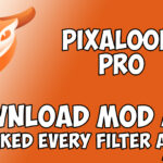 Pixaloop Pro APK V 1.2.9 [Premium Unlocked]