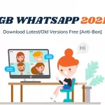 GBWhatsapp 2021 - Download Latest/Old Versions Free [Anti-Ban]