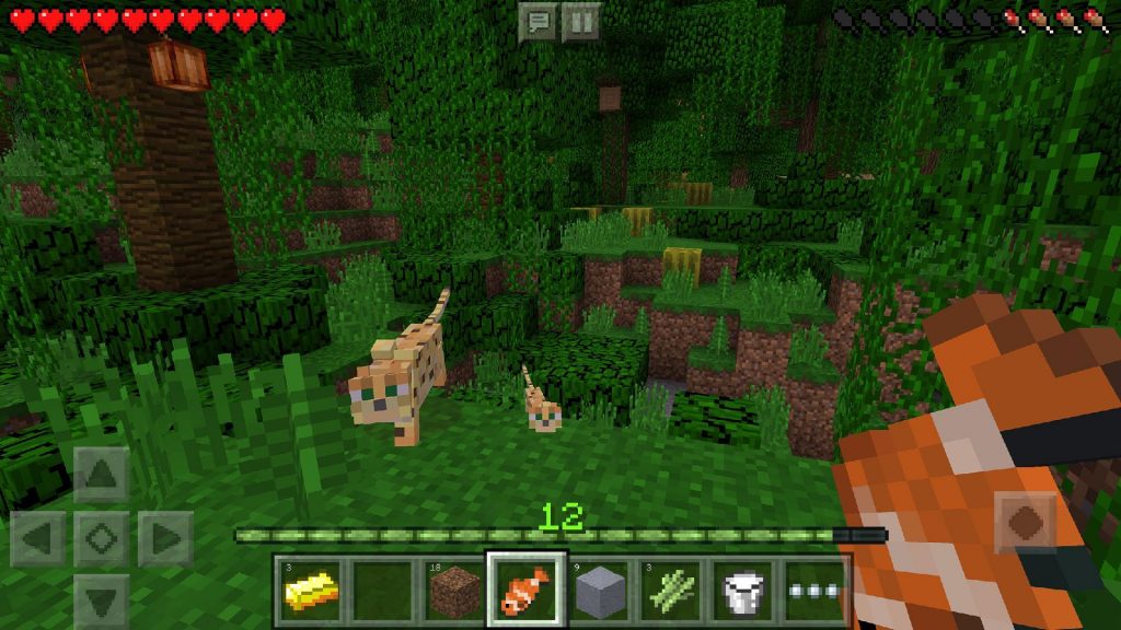 minecraft mod latest version for all of you!